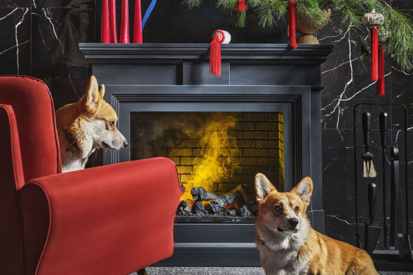 Каминокомплект Coventry Graphite Grey - Серый графит с очагом Symphony 26'' DF2608-INT